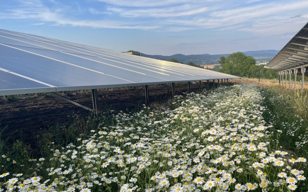 IG Merbitz Solar GmbH liefert Solarstrom für Salzgitter-Konzern