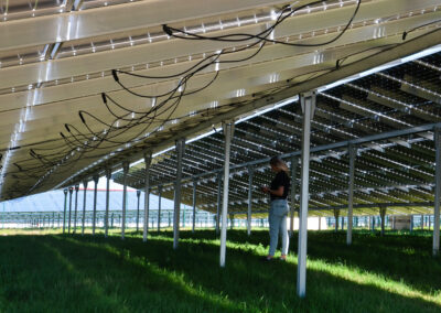 Bau des Solarparks Sonnengarten, Bild 6